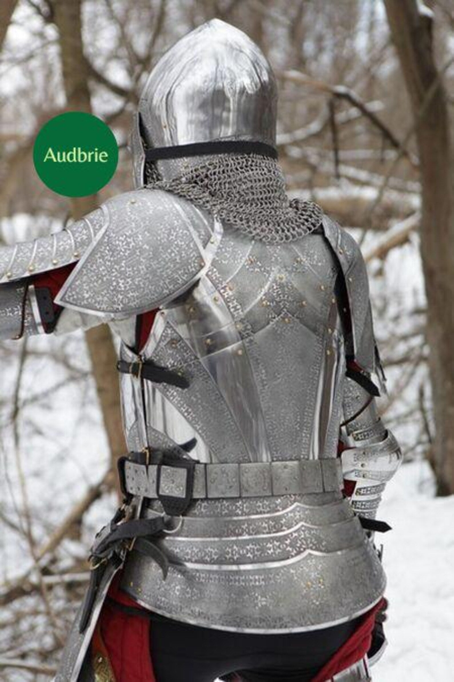 Person wearing a detailed suit of armor with 'Audrie' branding in a snowy forest setting.